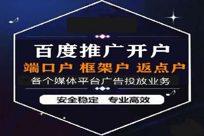 知名SEM运营公司实战案例解析